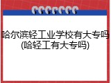 哈尔滨轻工业学校有大专吗(哈轻工有大专吗)