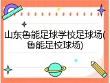 山东鲁能足球学校足球场(鲁能足校球场)