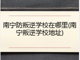 南宁防叛逆学校在哪里(南宁叛逆学校地址)