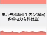 电力专科毕业生去乡镇吗(乡镇电力专科就业)