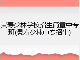 灵寿少林学校招生简章中专班(灵寿少林中专招生)
