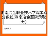 湖南冶金职业技术学院录取分数线(湖南冶金职院录取分)