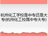 杭州化工学校是中专还是大专(杭州化工校属中专大专)