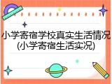 小学寄宿学校真实生活情况(小学寄宿生活实况)