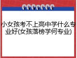 小女孩考不上高中学什么专业好(女孩落榜学何专业)
