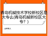 青岛机械技术学校新校区是大专么(青岛机械新校区大专？)