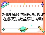 温州鹿城数控编程培训机构在哪(鹿城数控编程培训)
