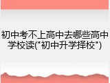 初中考不上高中去哪些高中学校读("初中升学择校")
