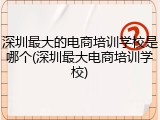 深圳最大的电商培训学校是哪个(深圳最大电商培训学校)