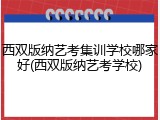 西双版纳艺考集训学校哪家好(西双版纳艺考学校)