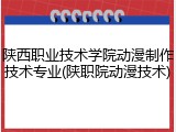 陕西职业技术学院动漫制作技术专业(陕职院动漫技术)