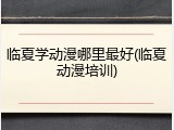 临夏学动漫哪里最好(临夏动漫培训)
