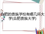 合肥的贵族学校有哪几所大学(合肥贵族大学)