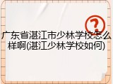 广东省湛江市少林学校怎么样啊(湛江少林学校如何)