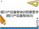 铜川产后康复培训班哪里学(铜川产后康复培训)