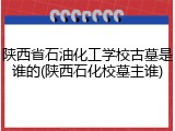陕西省石油化工学校古墓是谁的(陕西石化校墓主谁)