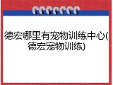 德宏哪里有宠物训练中心(德宏宠物训练)
