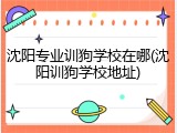 沈阳专业训狗学校在哪(沈阳训狗学校地址)