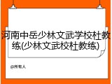 河南中岳少林文武学校杜教练(少林文武校杜教练)