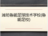 潍坊鲁能足球技术学校(鲁能足校)