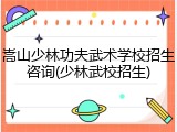 嵩山少林功夫武术学校招生咨询(少林武校招生)