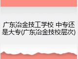 广东冶金技工学校 中专还是大专(广东冶金技校层次)