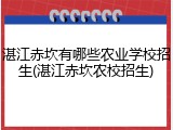 湛江赤坎有哪些农业学校招生(湛江赤坎农校招生)