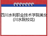 四川水利职业技术学院美女(川水院校花)
