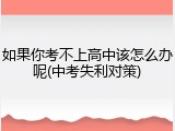 如果你考不上高中该怎么办呢(中考失利对策)