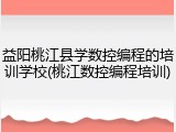 益阳桃江县学数控编程的培训学校(桃江数控编程培训)