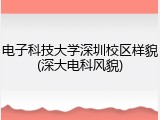 电子科技大学深圳校区样貌(深大电科风貌)