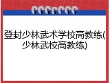 登封少林武术学校高教练(少林武校高教练)