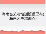 海南省艺考培训班哪里有(海南艺考培训点)