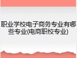 职业学校电子商务专业有哪些专业(电商职校专业)