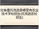 吐鲁番托克逊县哪里有农业技术学校招生(托克逊农校招生)