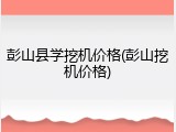 彭山县学挖机价格(彭山挖机价格)