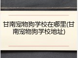 甘南宠物狗学校在哪里(甘南宠物狗学校地址)