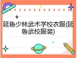 延鲁少林武术学校衣服(延鲁武校服装)