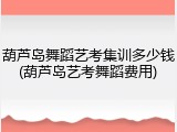 葫芦岛舞蹈艺考集训多少钱(葫芦岛艺考舞蹈费用)