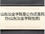 山东冶金学院是公办还是民办(山东冶金学院性质)