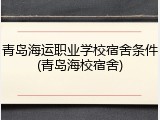 青岛海运职业学校宿舍条件(青岛海校宿舍)