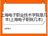 上海电子职业技术学院是几本(上海电子职院几本)