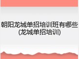 朝阳龙城单招培训班有哪些(龙城单招培训)