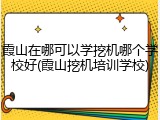 霞山在哪可以学挖机哪个学校好(霞山挖机培训学校)