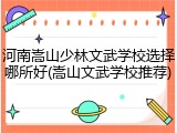 河南嵩山少林文武学校选择哪所好(嵩山文武学校推荐)