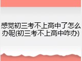 感觉初三考不上高中了怎么办呢(初三考不上高中咋办)