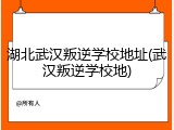 湖北武汉叛逆学校地址(武汉叛逆学校地)