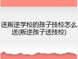 送叛逆学校的孩子技校怎么送(叛逆孩子送技校)