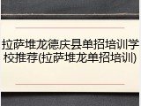 拉萨堆龙德庆县单招培训学校推荐(拉萨堆龙单招培训)