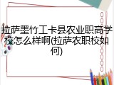 拉萨墨竹工卡县农业职高学校怎么样啊(拉萨农职校如何)